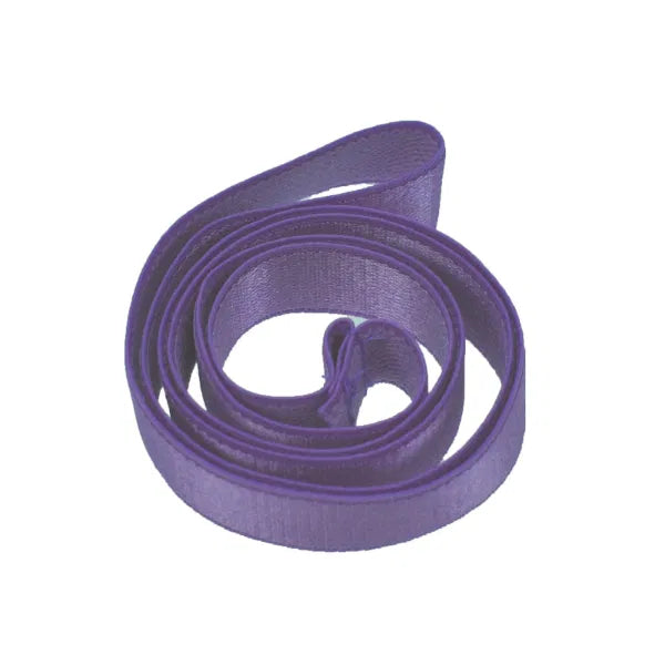 Elastic Loop Belt